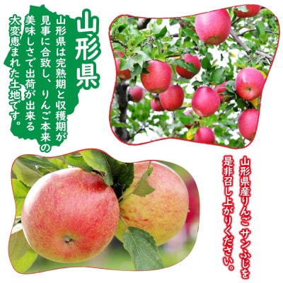 【令和8年度産先行受付】※数量・期間限定　山形県産りんご　サンふじ　秀品　5kg　12～20玉