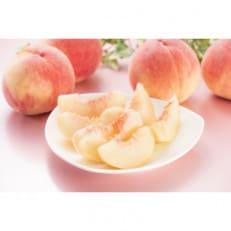 白桃 約3kg(7～14玉)