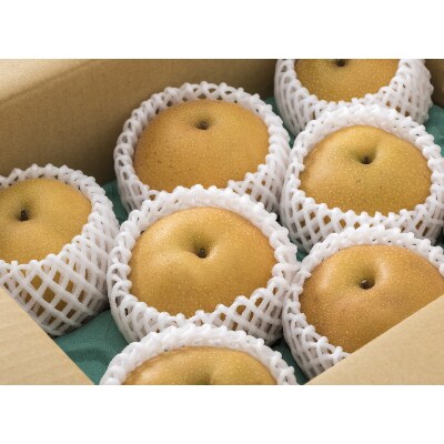 和梨 約3kg(7～12玉)