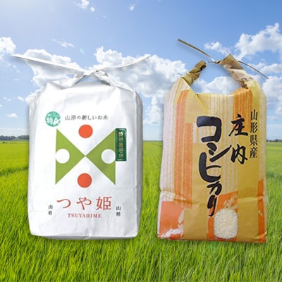 【2024年発送先行予約】つや姫とコシヒカリ食べ比べセット　計12kg