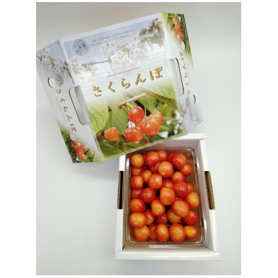 【2026年先行受付】佐藤錦500g Lバラ