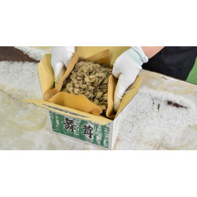 舞茸食べ比べセット