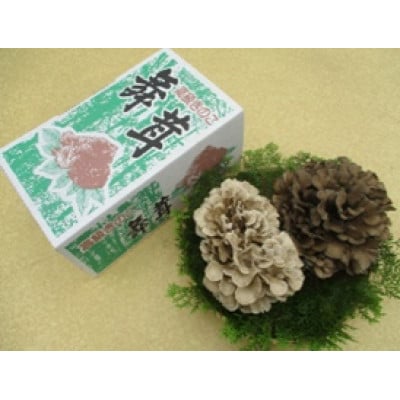 舞茸食べ比べセット