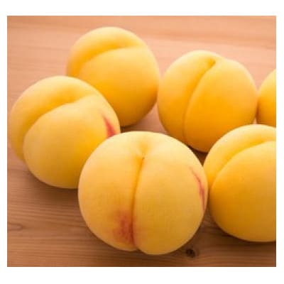 【先行受付】黄桃(品種おまかせ)約2kg(5～7玉)