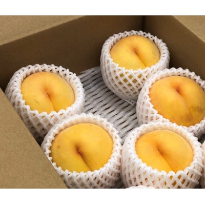 【先行受付】黄桃(品種おまかせ)約2kg(5～7玉)