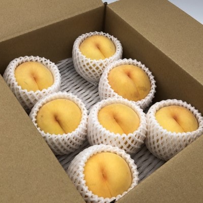 【先行受付】黄桃(品種おまかせ)約2kg(5～7玉)