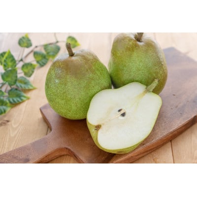 【2026年発送先行受付】ラ・フランス　3kg(6～9玉)