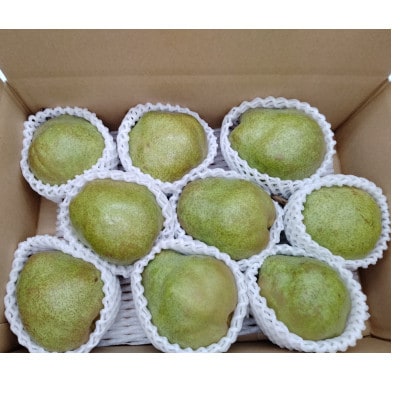 【2026年発送先行受付】ラ・フランス　3kg(6～9玉)