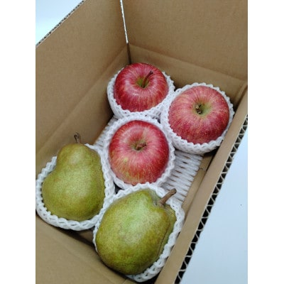 【2026年発送先行受付】大玉リンゴ 3玉 ラ・フランス 2玉 合計1.5kg