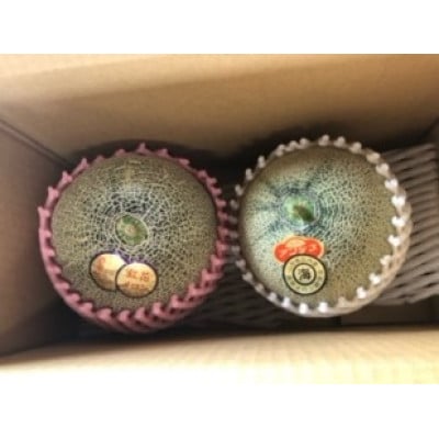 【2025年発送先行受付】庄内メロン 紅白セット　2玉3L 約2.6kg