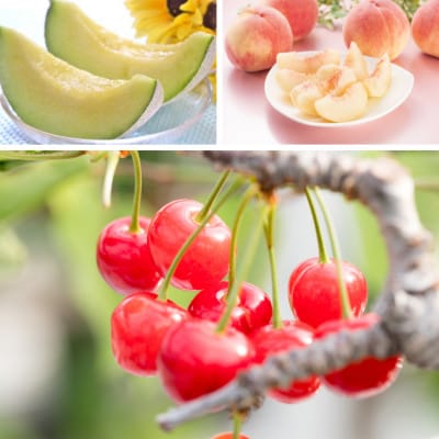 【発送月固定定期便】夏の山形フルーツ定期便全3回