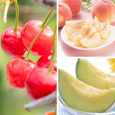 【発送月固定定期便】山形サマーフルーツ定期便全3回