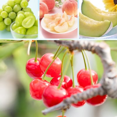 【発送月固定定期便】山形贅沢サマーフルーツ定期便全4回