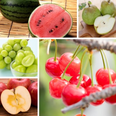 【発送月固定定期便】やまがたフルーツ定期便　極!全5回