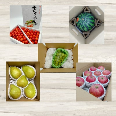 【発送月固定定期便】やまがたフルーツ定期便　極!全5回