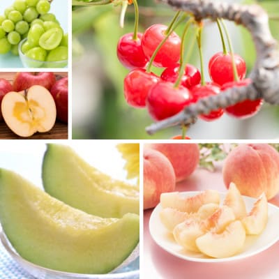 【発送月固定定期便】山形人気のフルーツ定期便全5回