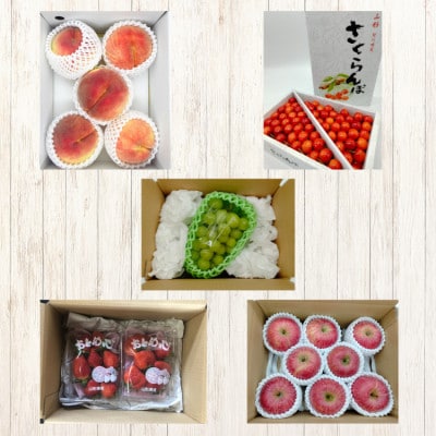 【発送月固定定期便】やまがた旬のフルーツ定期便全5回