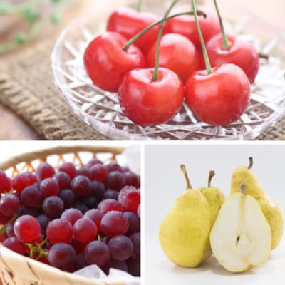 【発送月固定定期便】3種のフルーツ定期便全3回