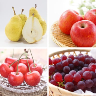 【発送月固定定期便】4種のフルーツ定期便全4回