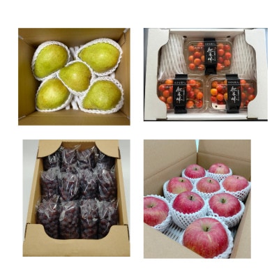 【発送月固定定期便】4種のフルーツ定期便全4回