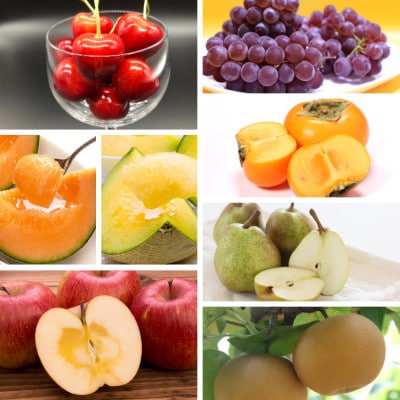 【発送月固定定期便】7種のフルーツ定期便全7回