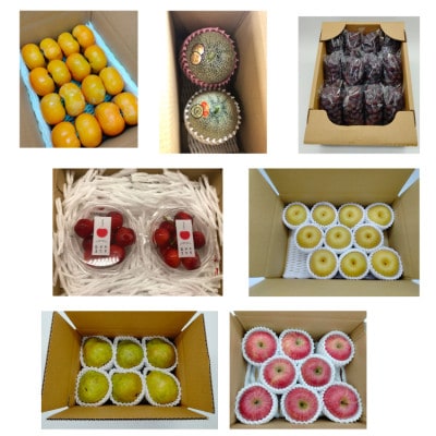 【発送月固定定期便】7種のフルーツ定期便全7回