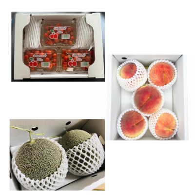 【発送月固定定期便】夏色フルーツ定期便全3回