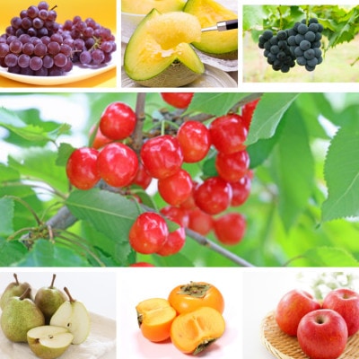 【発送月固定定期便】やまがた虹色フルーツ定期便全7回