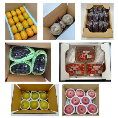 【発送月固定定期便】やまがた虹色フルーツ定期便全7回