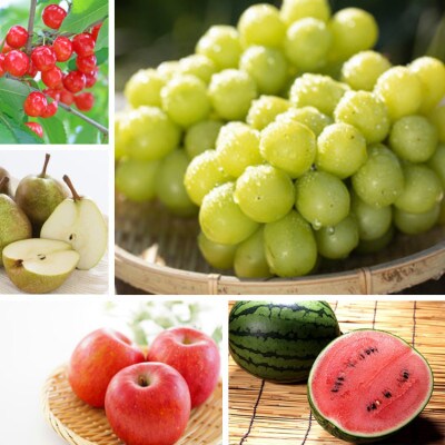 【発送月固定定期便】やまがた果物大好き定期便全5回