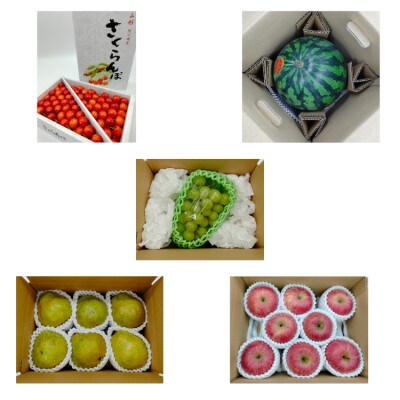 【発送月固定定期便】やまがた果物大好き定期便全5回