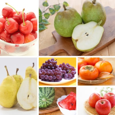 【発送月固定定期便】彩りフルーツ定期便全7回