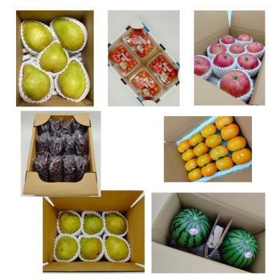 【発送月固定定期便】彩りフルーツ定期便全7回