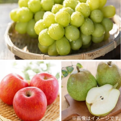 【発送月固定定期便】秋の訳あり定期便全3回