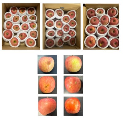 【発送月固定定期便】秋の訳あり定期便全3回