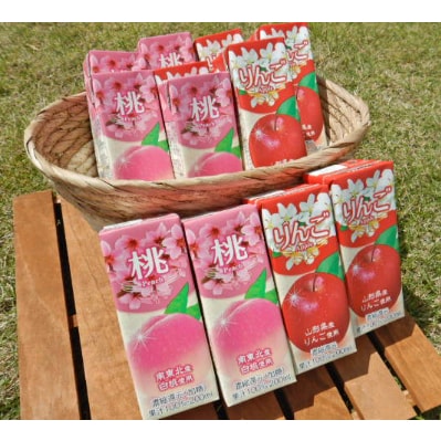 飲む山形 ごちそうジュース　2種セット　18本入り