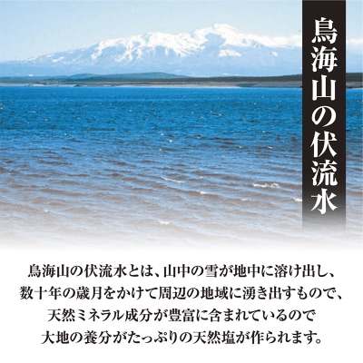 山形県酒田の塩 お洒落な角瓶入り天然塩5種セット ワイン塩3種(赤・白・ロゼ)・酒かす塩・プレーン塩