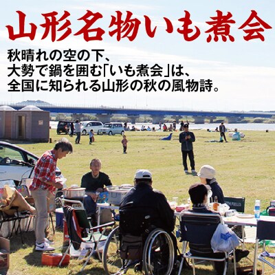 いも煮会 バラエティ3箱セット 米沢牛入り・山形牛入り・いも煮カレー
