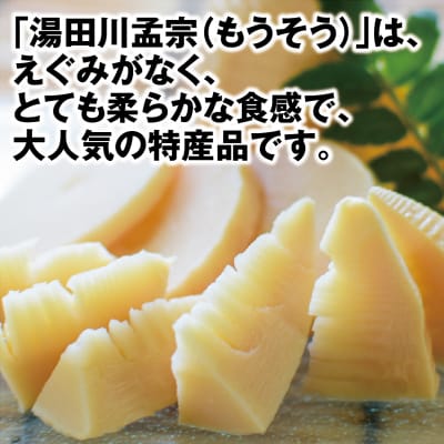 湯田川孟宗(たけのこ)水煮缶820g×4缶セット
