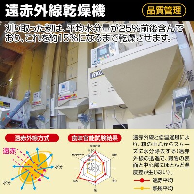 令和4年産　「庄内の米農家から直送!」　つや姫5kg