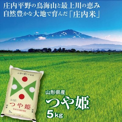 令和7年産　山形県の米どころ庄内平野で育った庄内米　つや姫　精米(5kg×1袋)