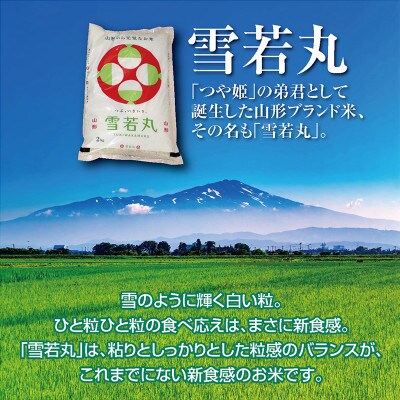 山形県期待のブランド米「雪若丸5kg」と山形名物いも煮仕立ての「いも煮カレー1箱」セット