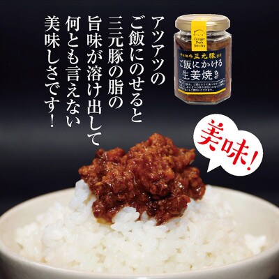 山形県のブランド豚・平田牧場の三元豚を使った「ご飯にかける生姜焼き」3個セット