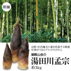 【先行受付/2023年5月発送開始】山形・庄内地方の春の名物ブランドたけのこ 湯田川孟宗 約3kg