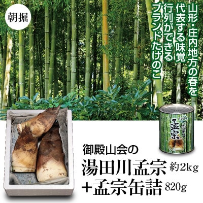 【先行受付/2023年5月発送開始】名物ブランドたけのこ 湯田川孟宗 約2kg　とたけのこ水煮缶1缶