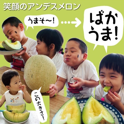【先行受付/2025年7月以降発送開始】庄内砂丘メロン　大玉アンデスメロン(青肉)2玉