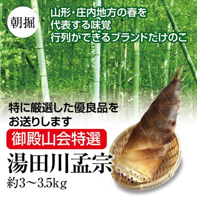 【5月発送】行列ができる庄内の春の名物ブランドたけのこ　御殿山会特選　湯田川孟宗　約3～3.5kg