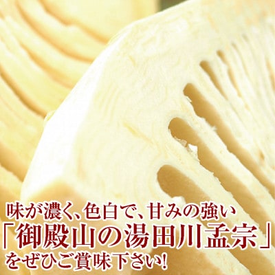 【5月発送】行列ができる庄内の春の名物ブランド　湯田川のたけのこ(ご家庭用)約3kg