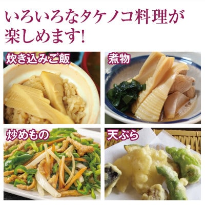 【5月発送】行列ができる庄内の春の名物ブランド　湯田川のたけのこ(ご家庭用)約3kg