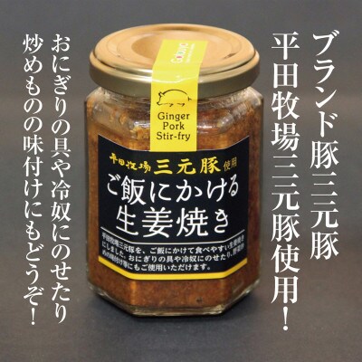 令和5年産庄内米「はえぬき5kg」とご飯のお供「平田牧場三元豚 ご飯にかける生姜焼き2個」セット